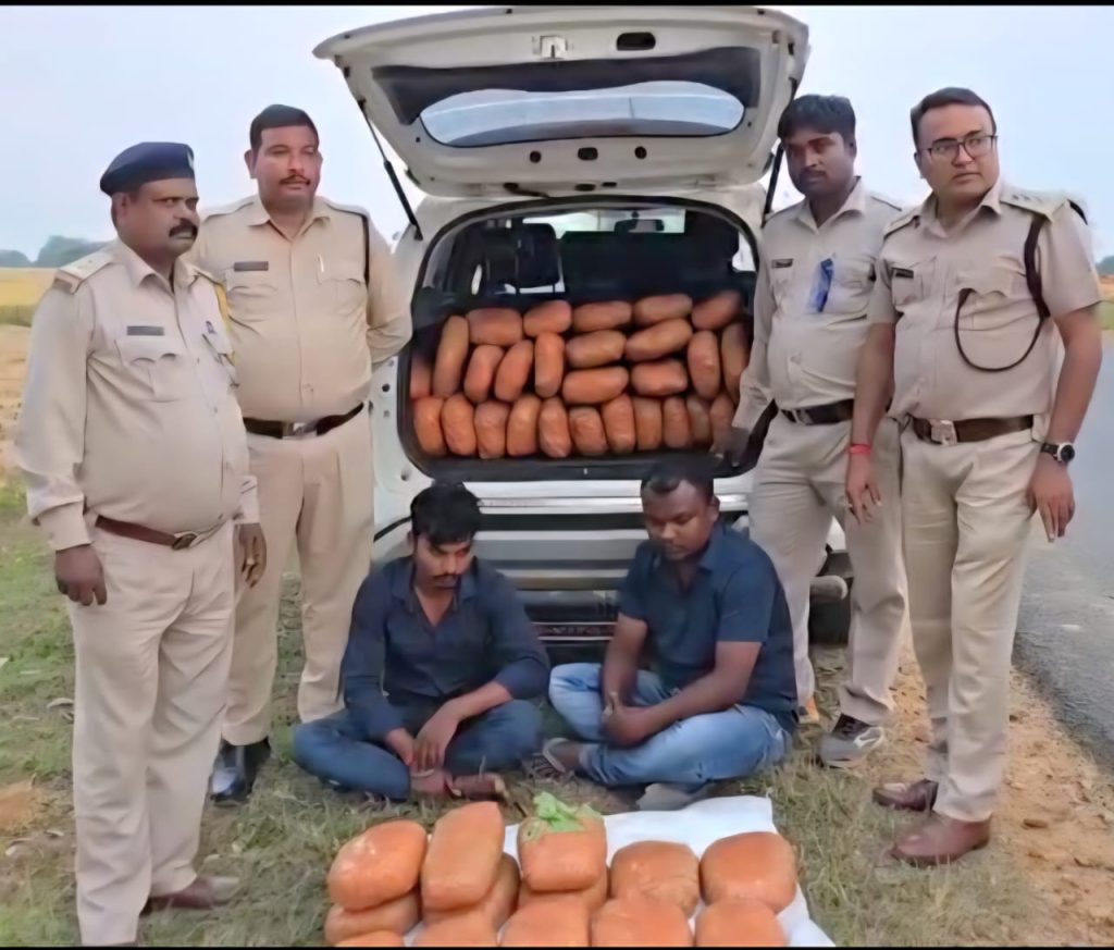 e640029b-b1d7-4dd5-a89f-d8a62a2b1ce5